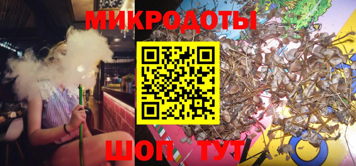 Псилоцибиновые грибы мицелий  наркошоп  Городец  Вход с VPN 